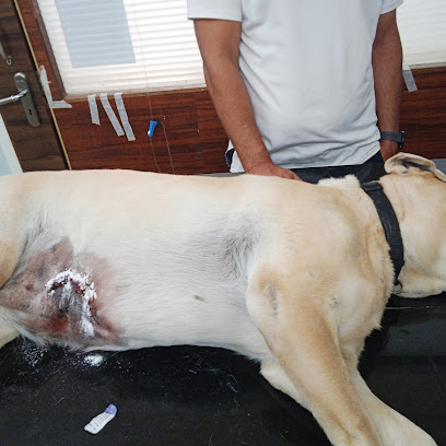 Aruna Anand Pet Clinic ||Consulting Fees only 300 Rs||