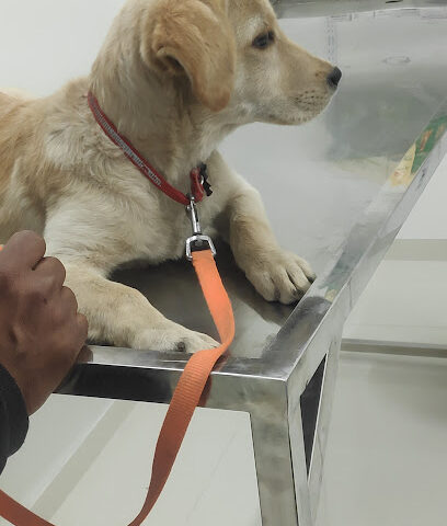 Caring Hands Pet clinic and Shop