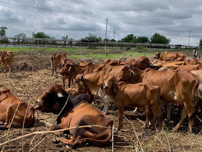 Farm to Mom Natural Products - A2 Gir Cow Milk Company