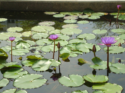 Karen Fernandes in Pune | Digital Marketer | Image Consultant | Soft Skill Trainer | Career Coach | Study Abroad Counsellor