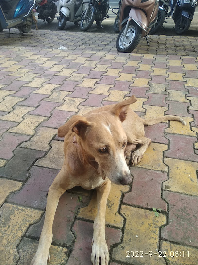 MH14 Animal Hospital