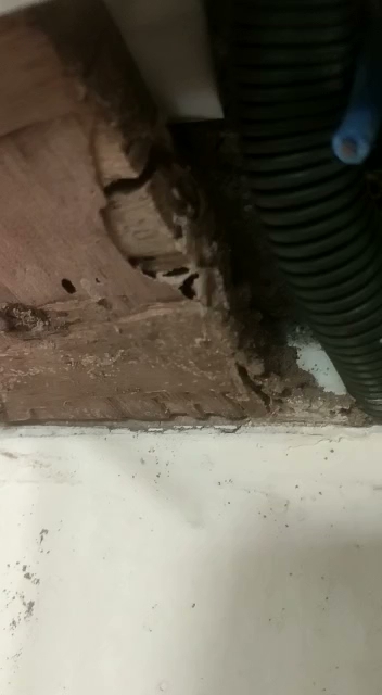 PestAnuja Pest Control Services