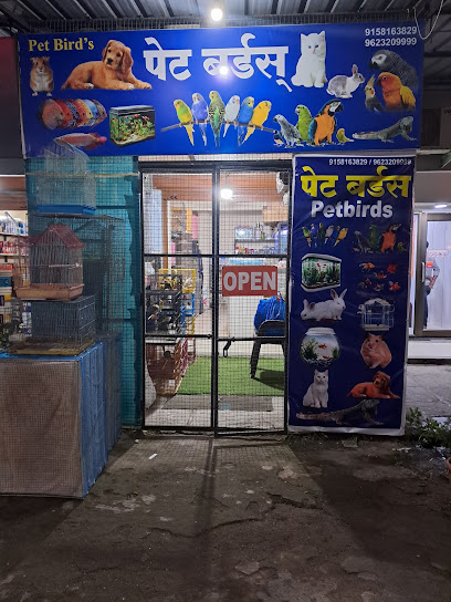 Pet birds