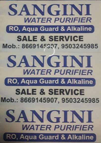 Sangini Ro water purifier service