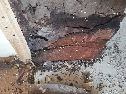 UNIVERSAL PEST MANAGEMENT